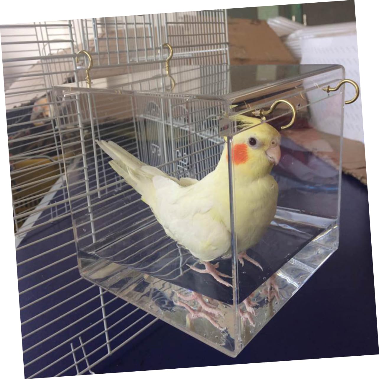 BESPORTBLE Papageienbad aus Kunststoff mit Abdeckung Transparentes Vogelbad für Kleine Vögel und Kanarienvögel als Badekäfigzubehör im Vogelkäfig