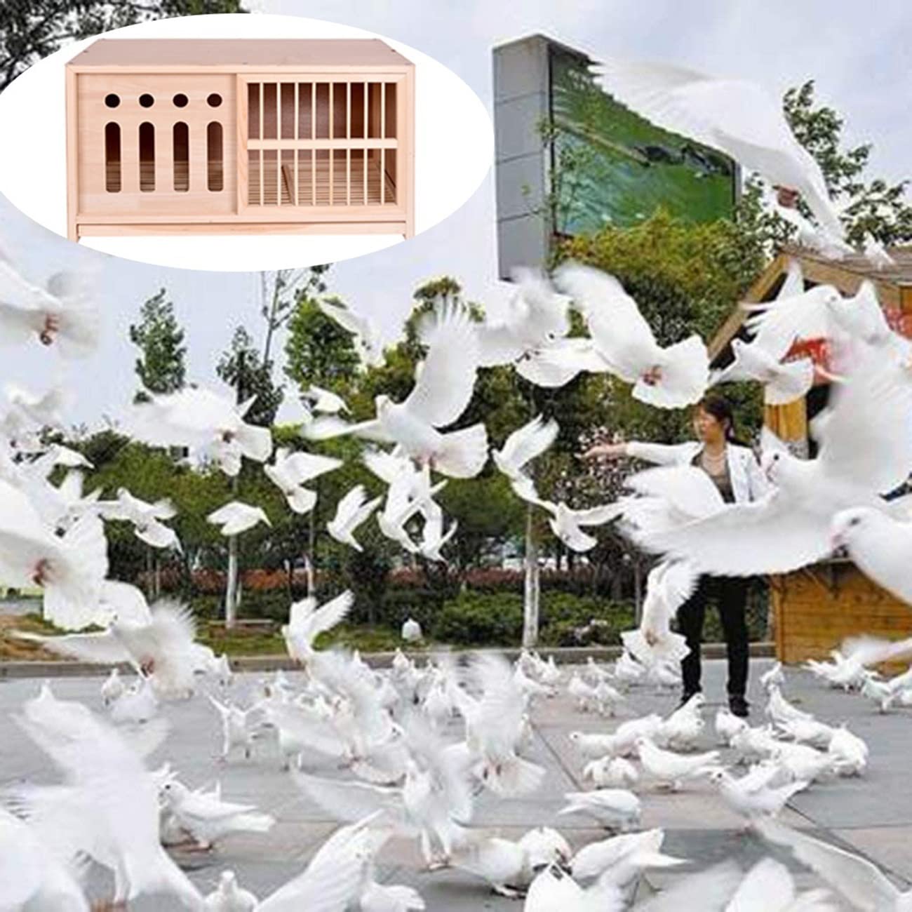 Hábitat De Animales Pequeños Jaula para Conejos con Bandeja Arena para Gatos De Interior Y Exterior Caja Nido De Palomas Jaula De Cria Suministros De Mascotas (Color : Wood Color, S : 90 * 45 * 50cm)