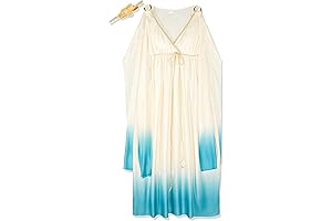 Fun World Women's Goddess Athena Plus Size Costume