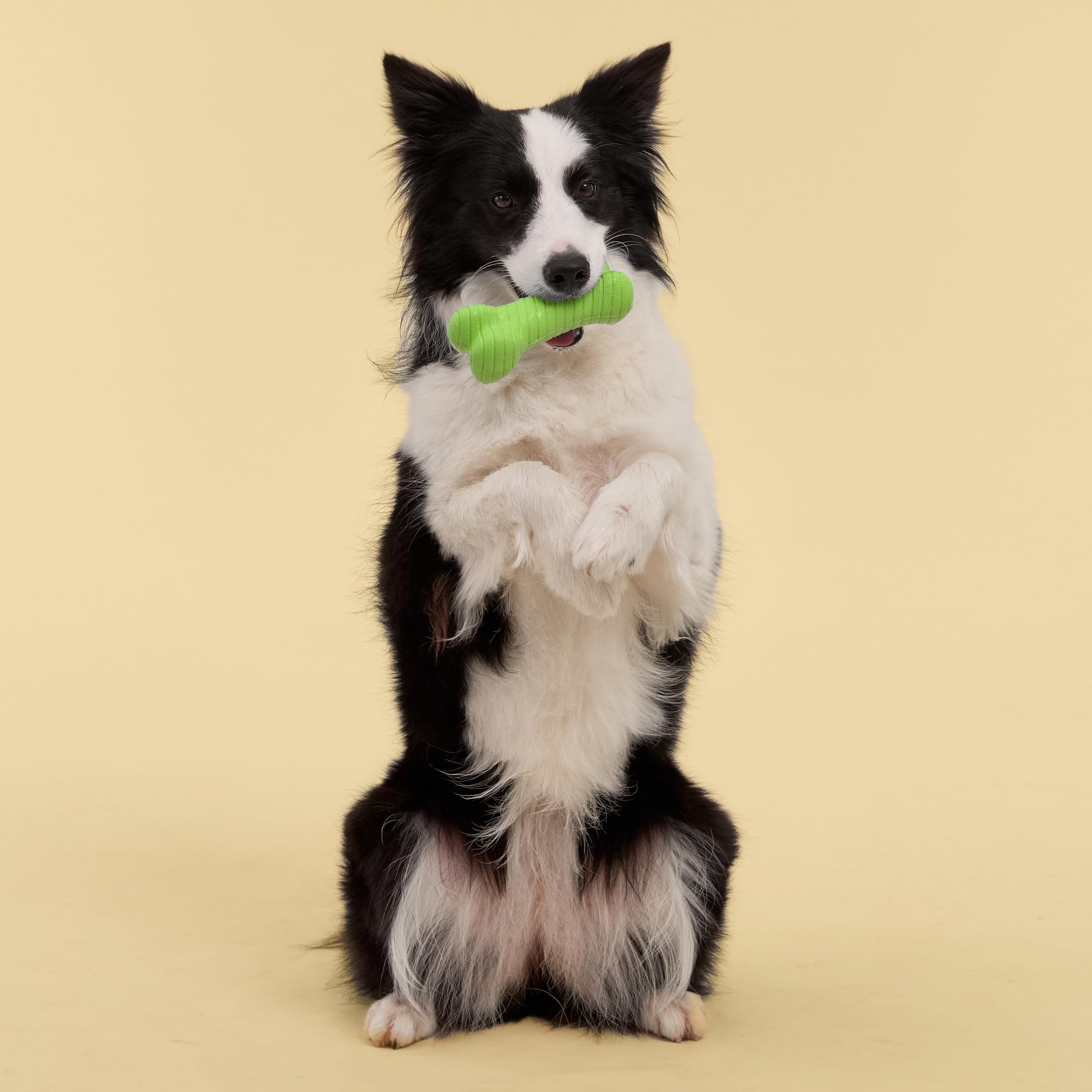 Playology Kauspielzeug für Hunde, zweilagig, Knochen, Jumbo, Süßkartoffelduft | Gummi-Konstruktion, natürlicher Duft, robustes Design