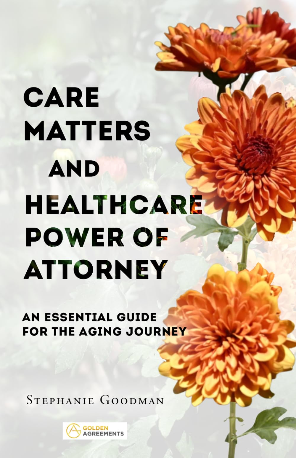 Care Matters and Healthcare Power of Attorney: An Essential Guide for the Aging Journey (Golden Agreements: Planning Together, Aging with Clarity and Peace of Mind)