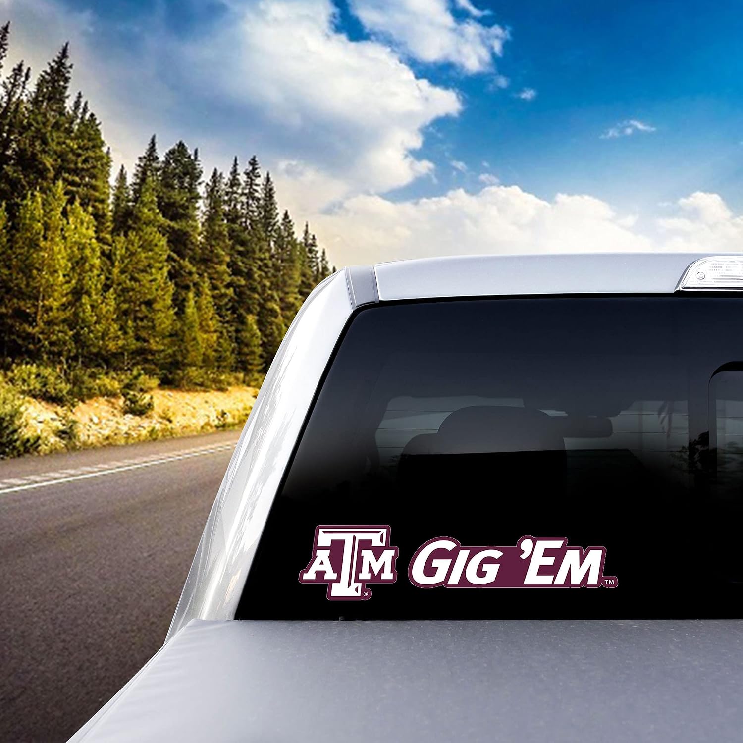 FANMATS NCAA Unisex-Adult NCAA Slogan Decal Pack