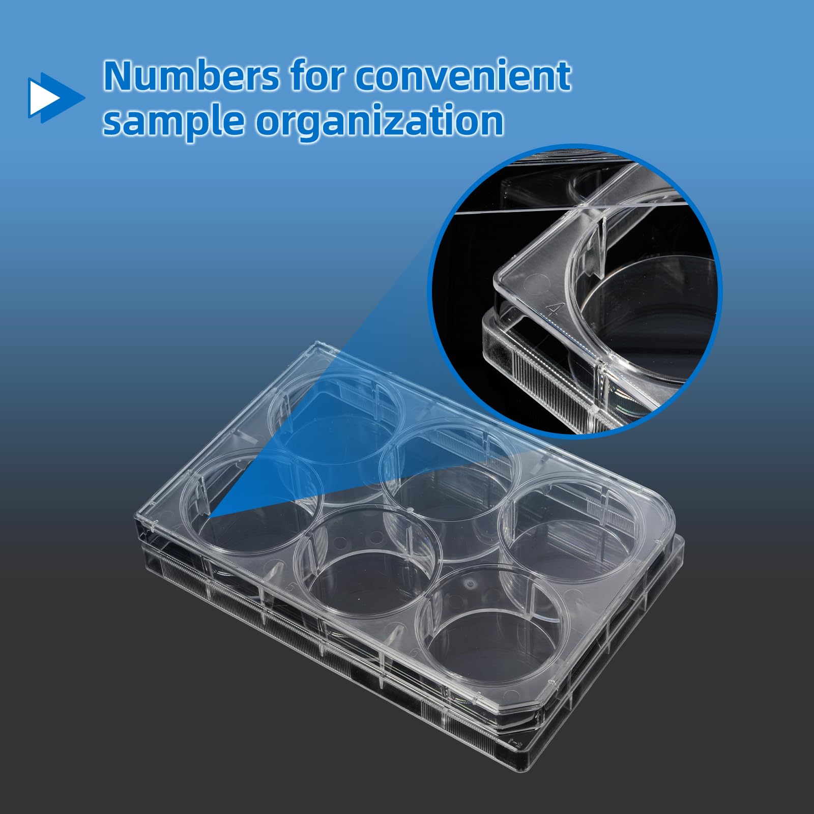 50 Stück Zellkulturplatten 6 Löcher, Sterile Kulturplatte, Gewebekulturplatte, Reaktionsplatte, Polystyrol Petrischale für Laborbiologieräume, Transparent, Einzeln Verpackt