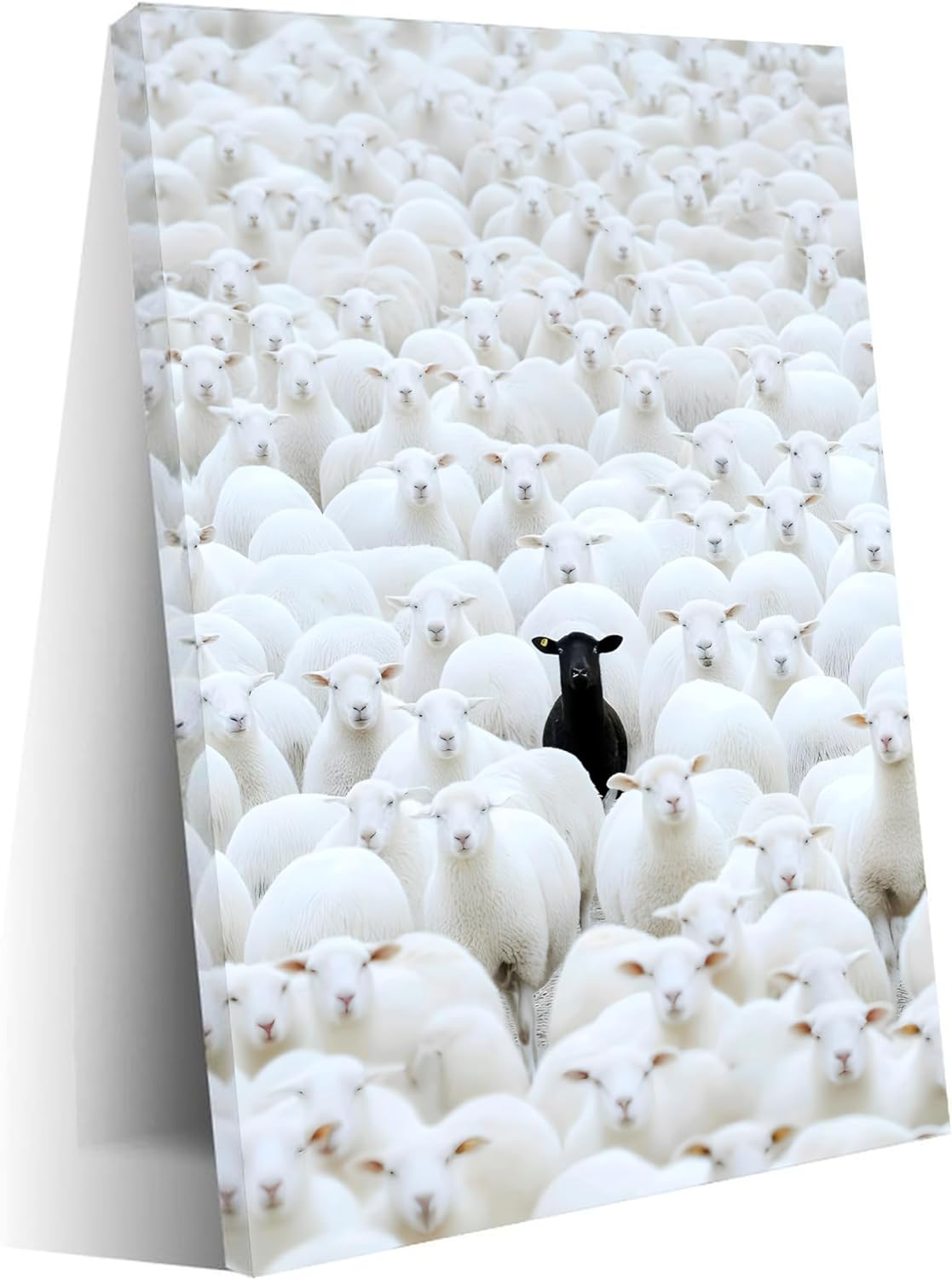 Black Sheep Among White Sheep Picture Poster，Being Unique Is Your Ability，Inspiring Poster Canvas Print Wall Art Decor 12x18inch(30x40cm) Frame-style