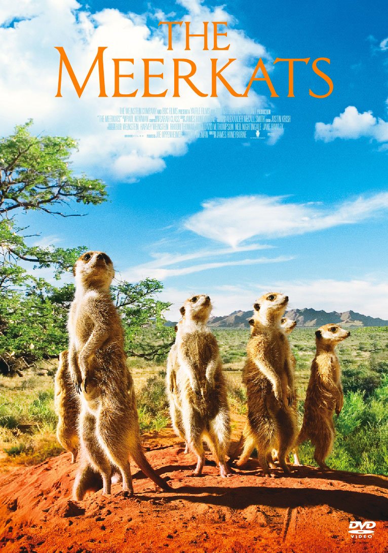 Amazon.co.jp: ミーアキャット スペシャル・エディション [DVD