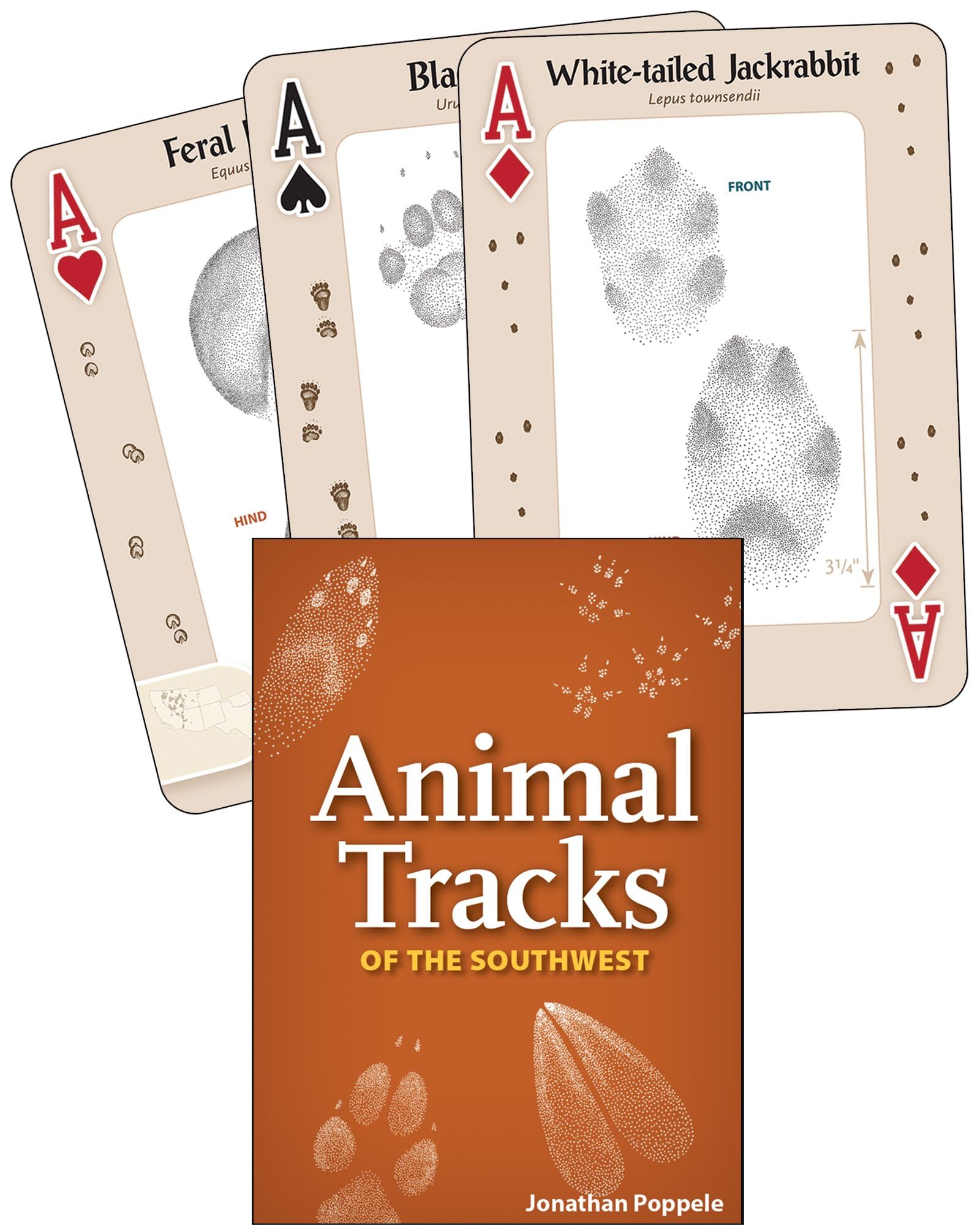 Animal Tracks of the Southwest Playing Cards (Nature's Wild Cards)
