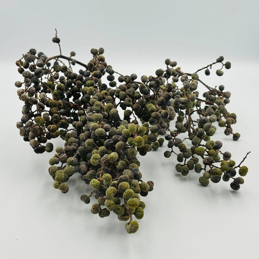 完売　希少＊高級花材【棕櫚の実＊シュロの実】花材/スワッグやリース素材に 完売 希少＊高級花材【棕櫚の実＊シュロの実】花材/スワッグやリース