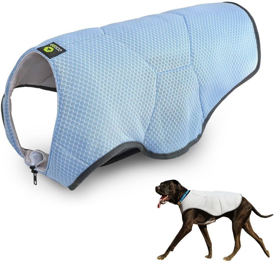 EQDOG Cooling Vest for Dogs, Large, blue