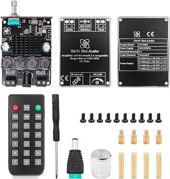 HIFI level 50W x 2 stereo Bluetooth digital power amplifier module TPA3116 with remote control Y50H