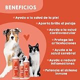 Ver la foto 2