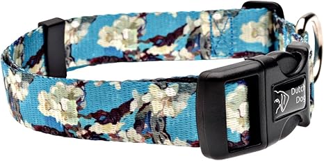 eco dog collar
