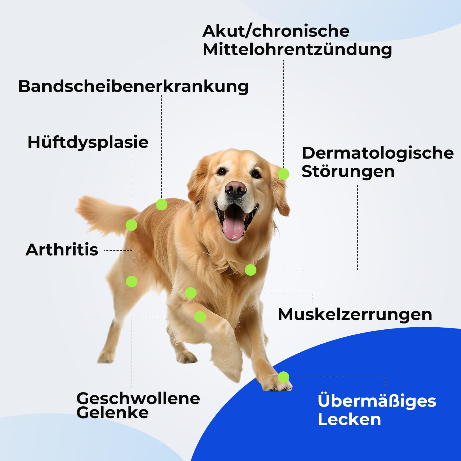 8 * 808nm & 16 * 650nm Kaltes Rotlicht Handgerät, 5200-mAh-Akku Infrarot Lasertherapie für Hunde mit 2 Modi, Tragbares Rot Lichttherapiegerät für Haustier Hüft, Pferde Muskel, Katzen Gelenkarthritis