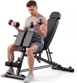 NEWBULIG Adjustable Weight Bench for Home Gym, 660 LBS Workout Bench Press | Flat Incline Decline Sit Up Foldable Work Out Press Chest Machine with Leg Extension, Preacher Pad & 2 Wheels