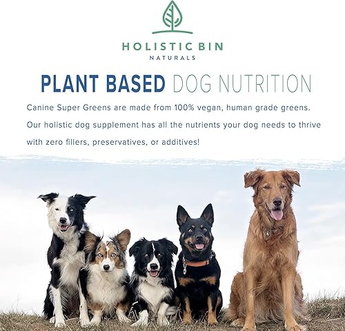 Miniatura 2 de Suplemento nutricional vegano para perros con fitoplancton marino, espirulina, clorella y hierba de cebada fermentada  Soporte orgánico para piel y