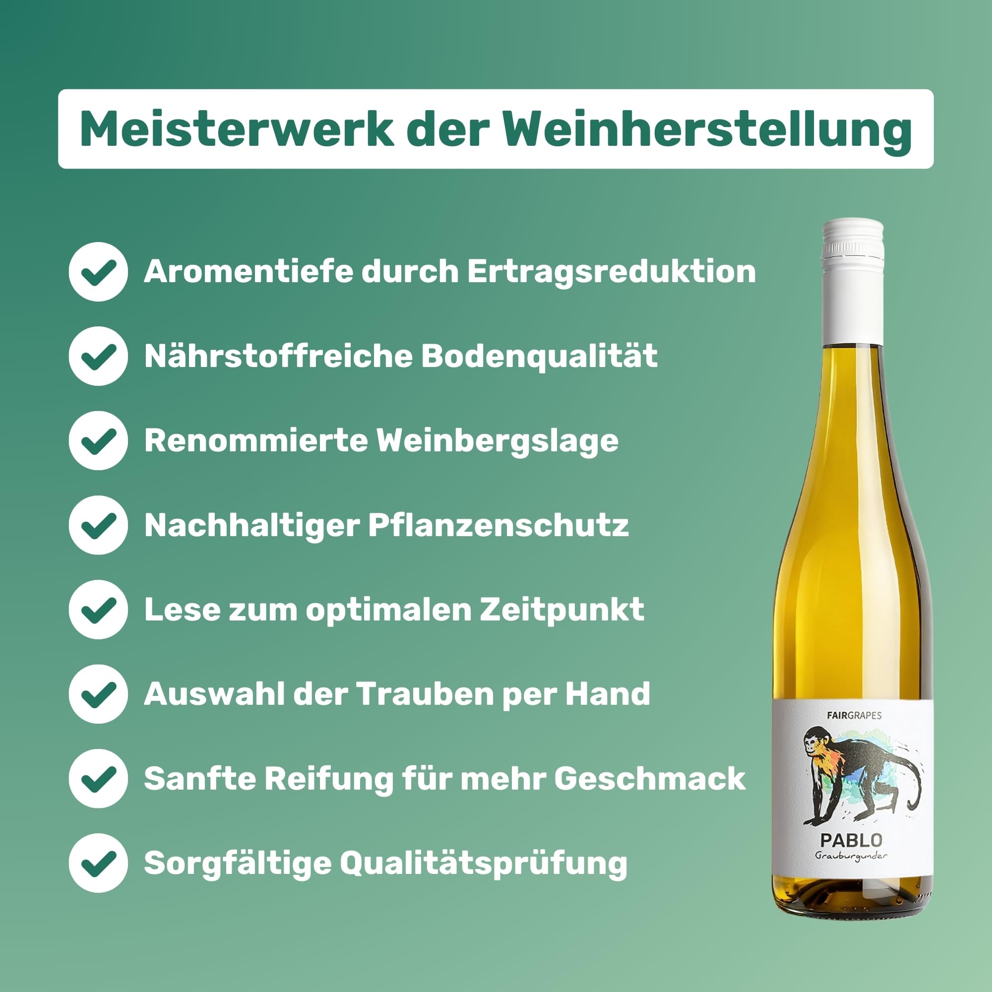 FairGrapes Grauburgunder »Pablo« Weißwein Trocken | 90 Punkte Falstaff | Best Buy | Aprikose & Birne | Vegan | Geschenkidee (3 x 0.75 l)