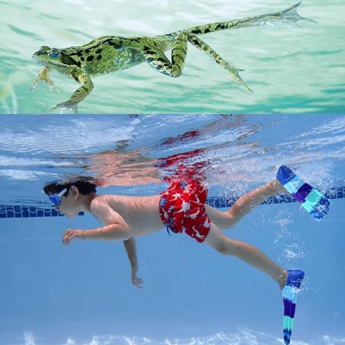 Vista 200 de Aletas de natación para niños, aletas cortas para niños, aletas de natación para entrenamiento de natación para niños y niñas principiantes Un