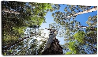 Canvas Wall Art Prints Bicentennial Tree Western Australia Large Framed Wall Art Painting Artwork Poster Hanging Home Decor for Living Room Office Bathroom 20"x40"