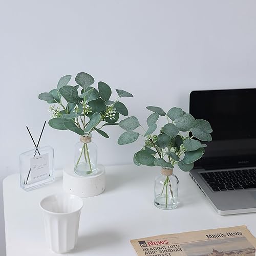 Miniatura 6 de Zheart Paquete de 2 plantas falsas pequeñas en maceta de eucalipto, tallos de eucalipto artificiales en jarrón de vidrio con agua sintética para
