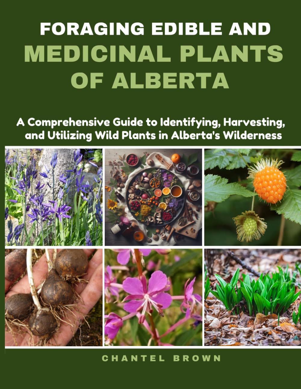 FORAGING EDIBLE AND MEDICINAL PLANTS OF ALBERTA: A Comprehensive Guide to Identifying, Harvesting, and Utilizing Wild Plants in Alberta's Wilderness