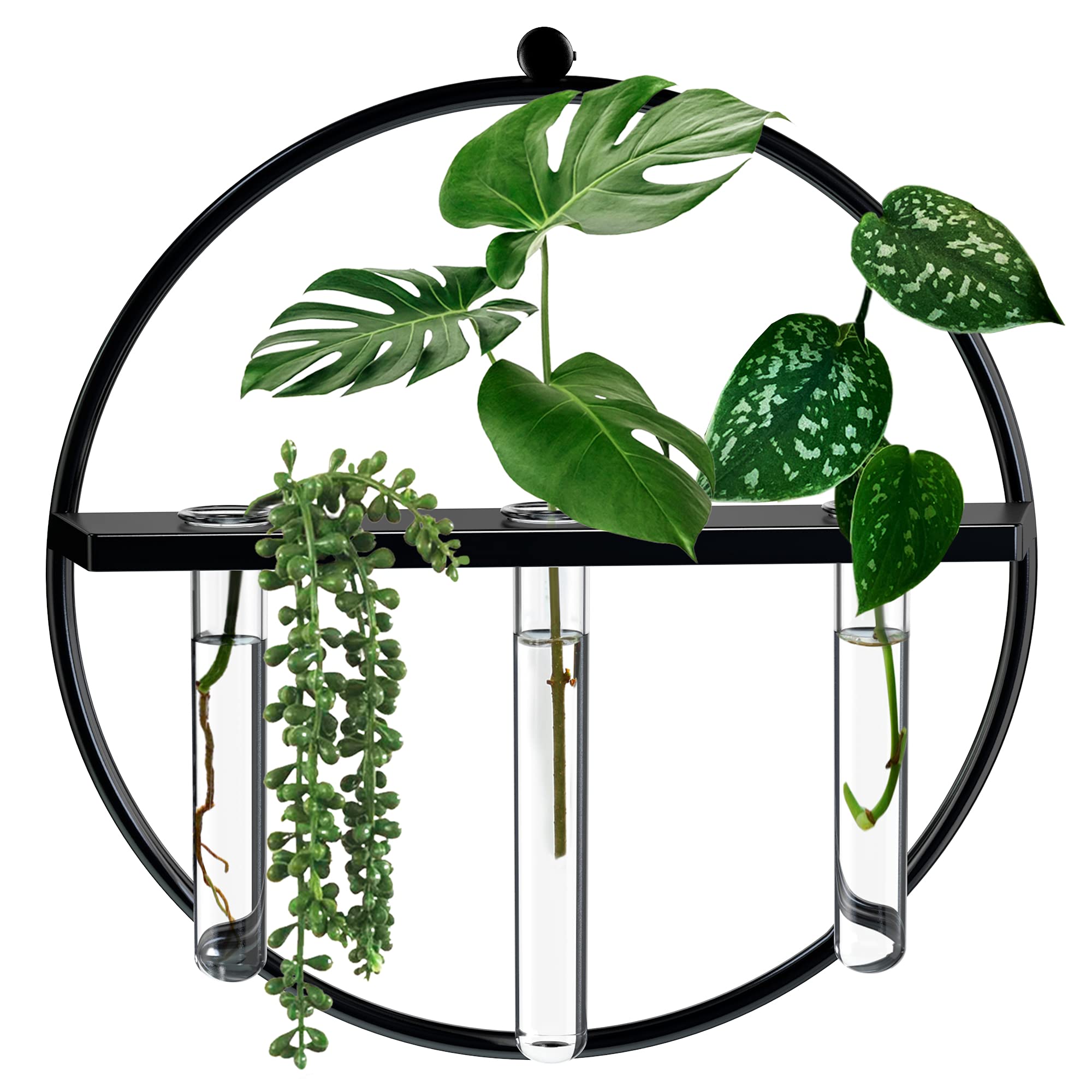 Buy Sun Wall Hanging Propagation Station Glass Tube Wall er Propagation
