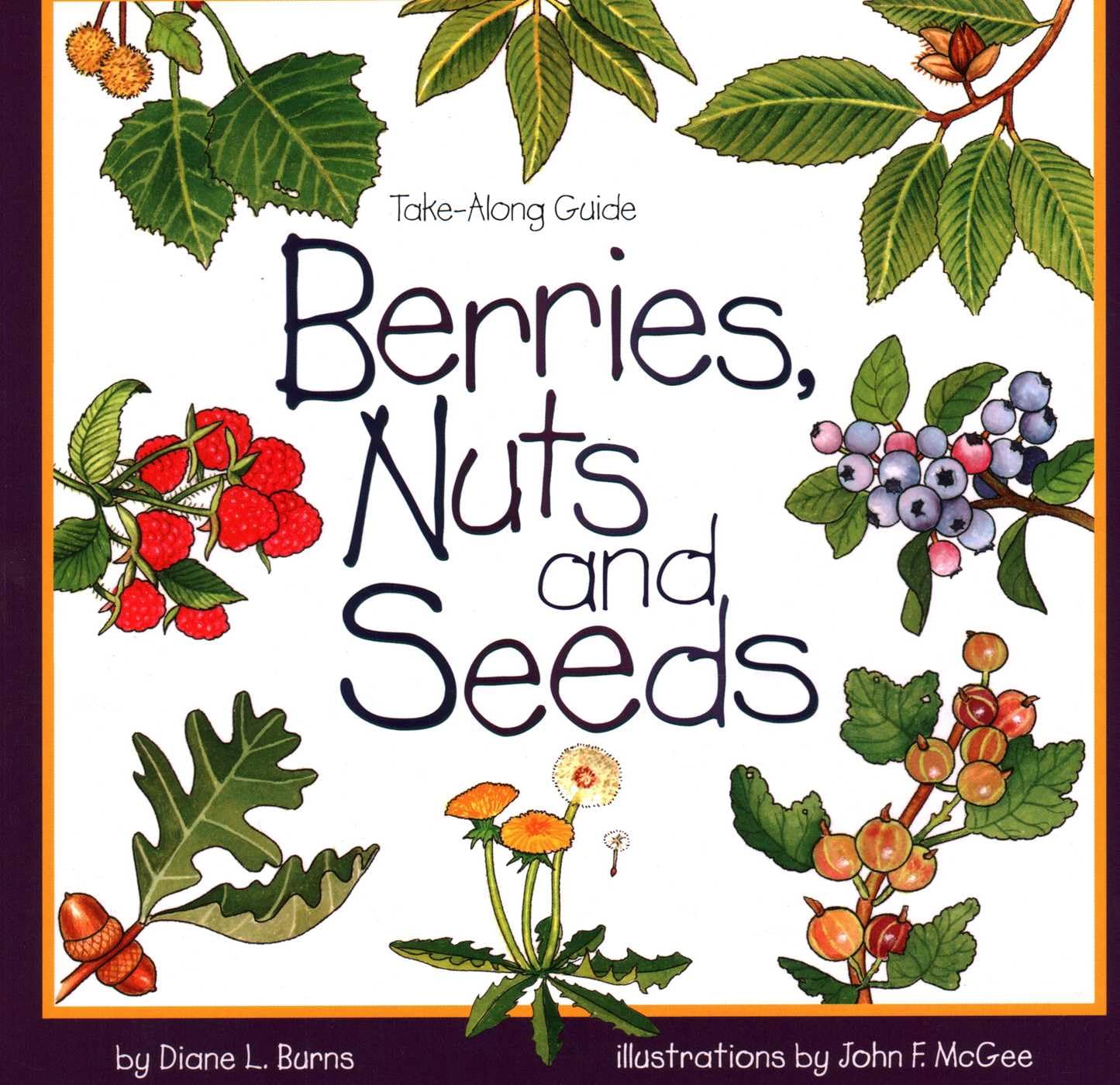 Berries, Nuts, And Seeds (Take Along Guides) Paperback – September 1, 1996
