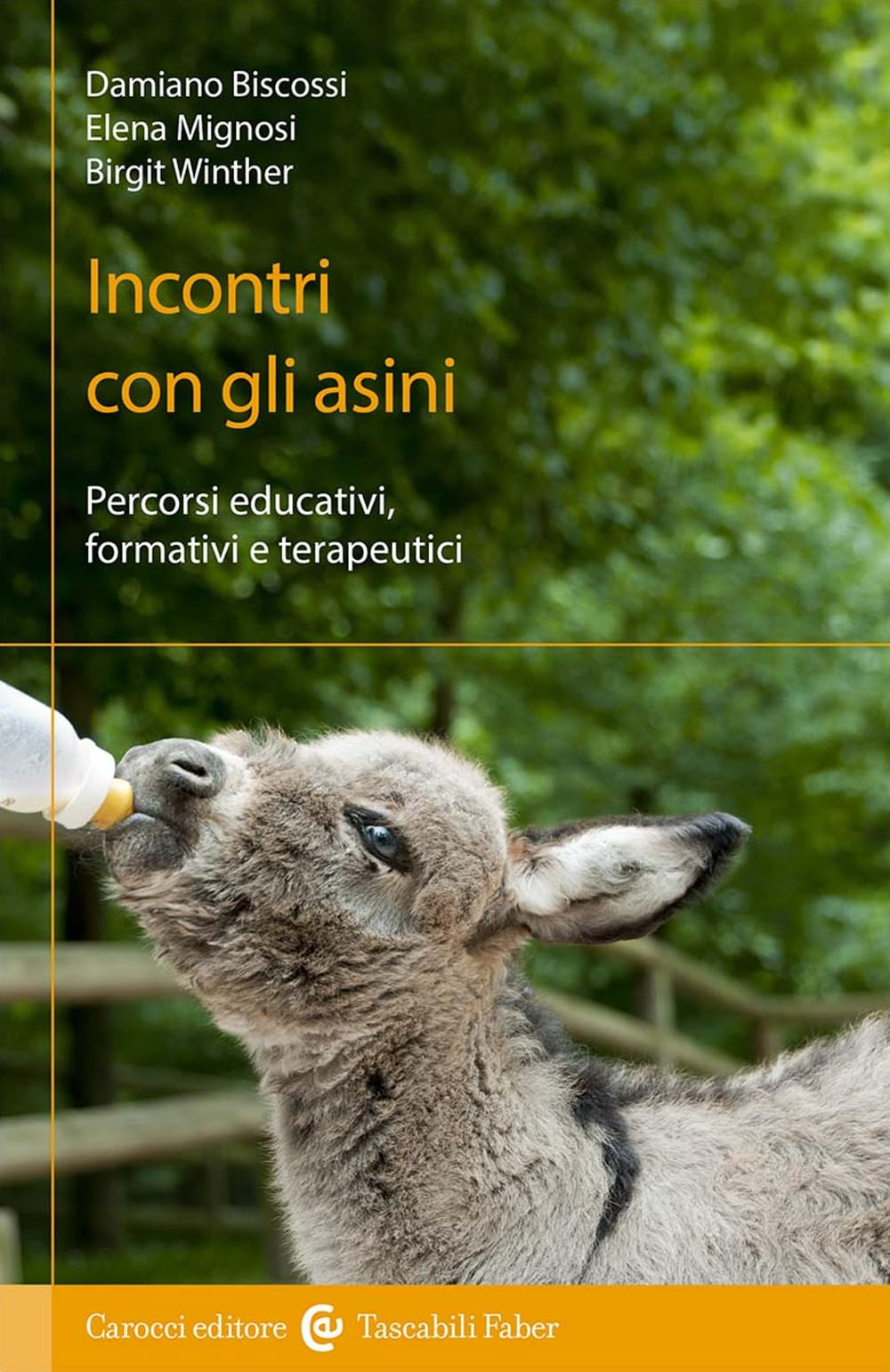Incontri Con Gli Asini. Percorsi Educativi, Formativi E Terapeutici - 4
