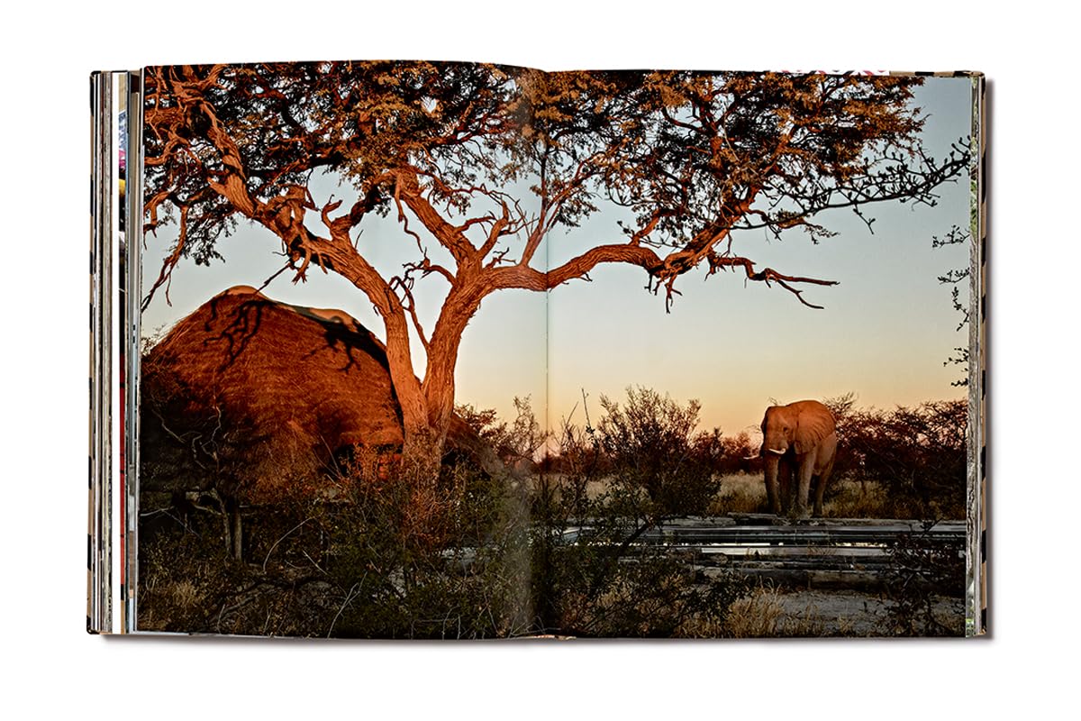 Safari Style: Exceptional African Camps and Lodges―Stunning photographic volume showcasing the interior décor of Africa’s foremost luxury and eco-safari lodges      Hardcover – September 28, 2021