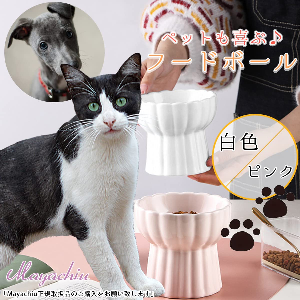 Amazon | 2個セット食べやすい 猫 食器 陶器 フードボウル