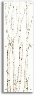 Epic Art 'Birch Trees III' by Cindy Jacobs, Acrylic Glass Wall Art, 16"x48"