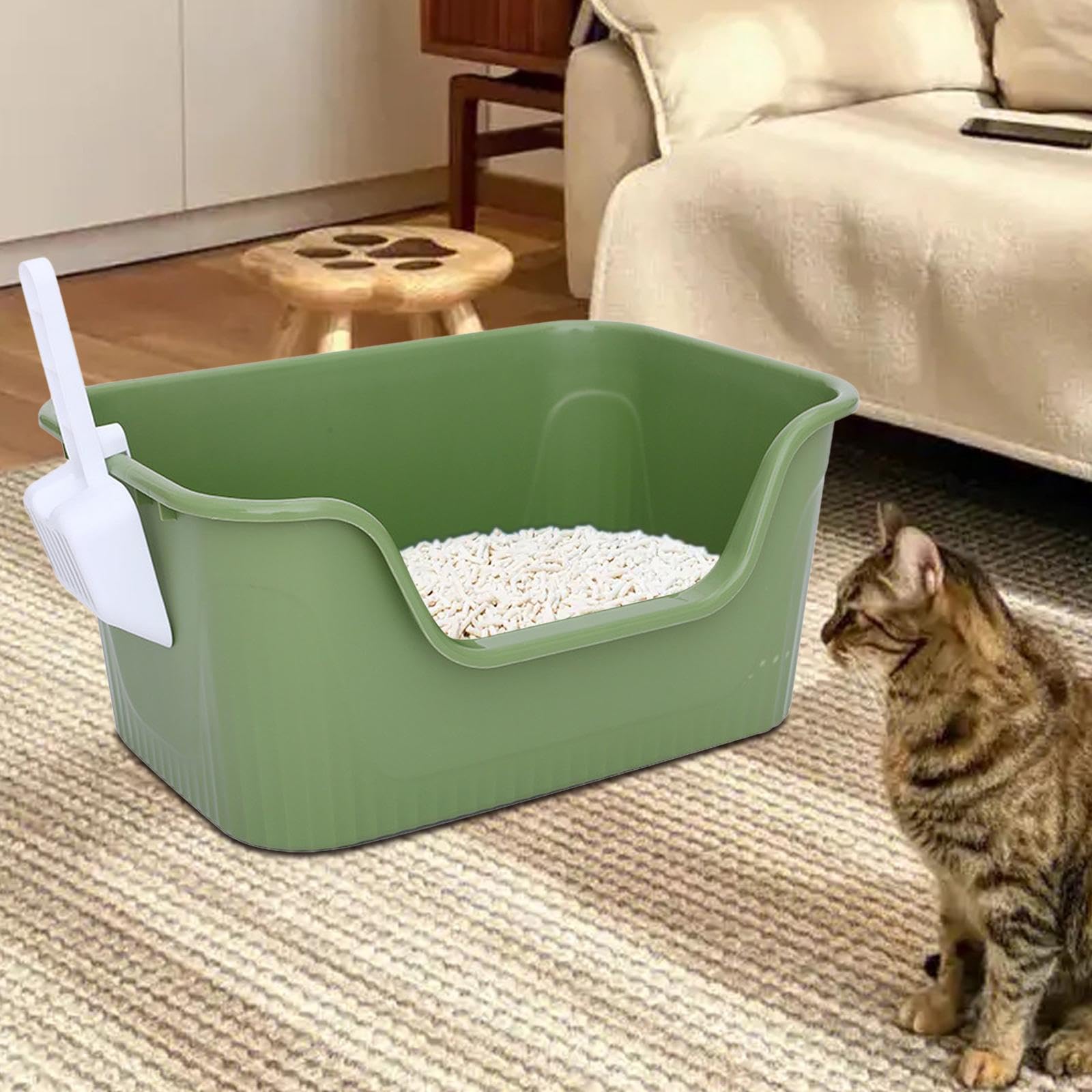 Lettaia, Lettiera for Gattini Cassette for lettiere for Gatti Toilette for(S)