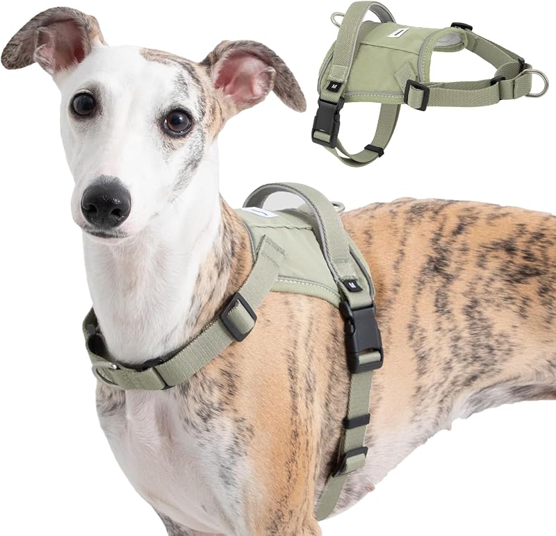 Peitoral Tipo Cabresto Antipuxão para Cães com Refletivo, Alça e Bolso para Rastreador Sovarin Verde M