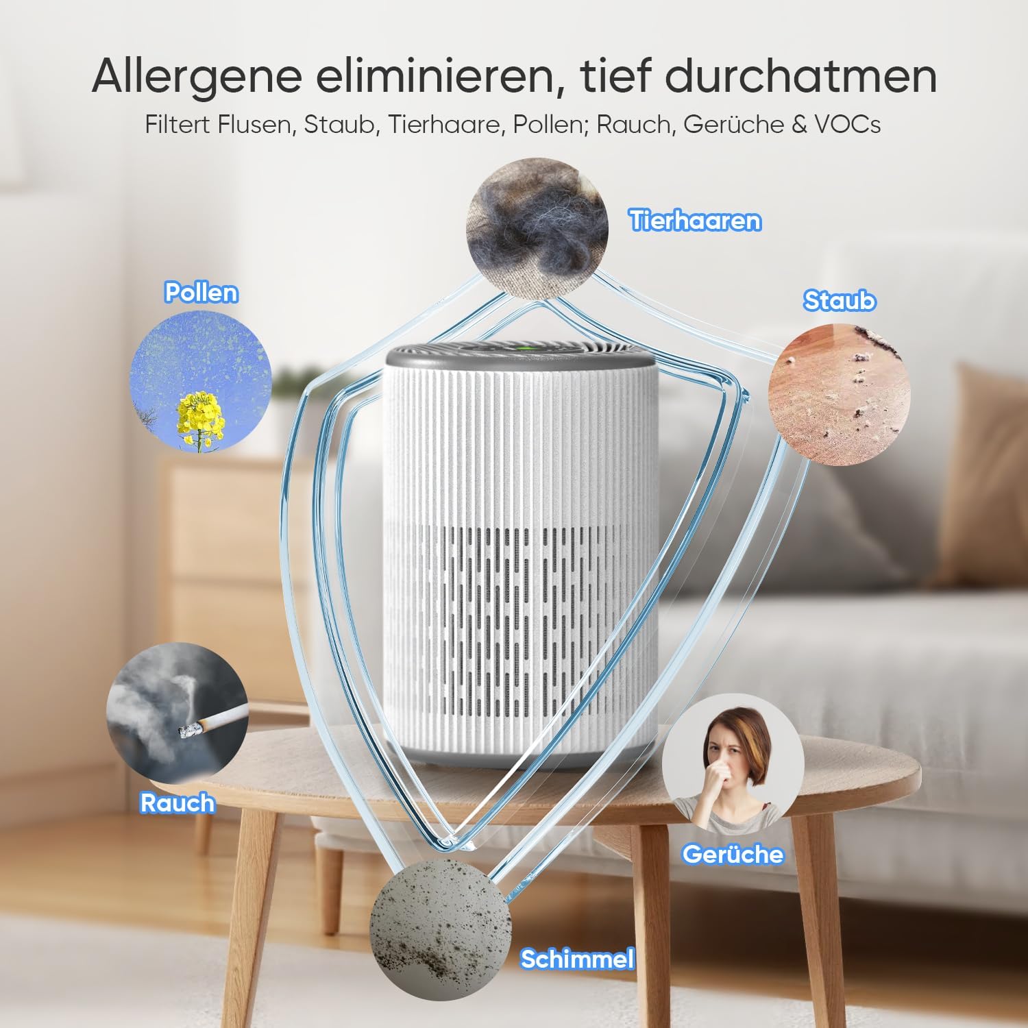 Diagram showing the DAYETTE air purifier eliminating various allergens and pollutants such as pet hair, pollen, dust, smoke, odors, and mold.