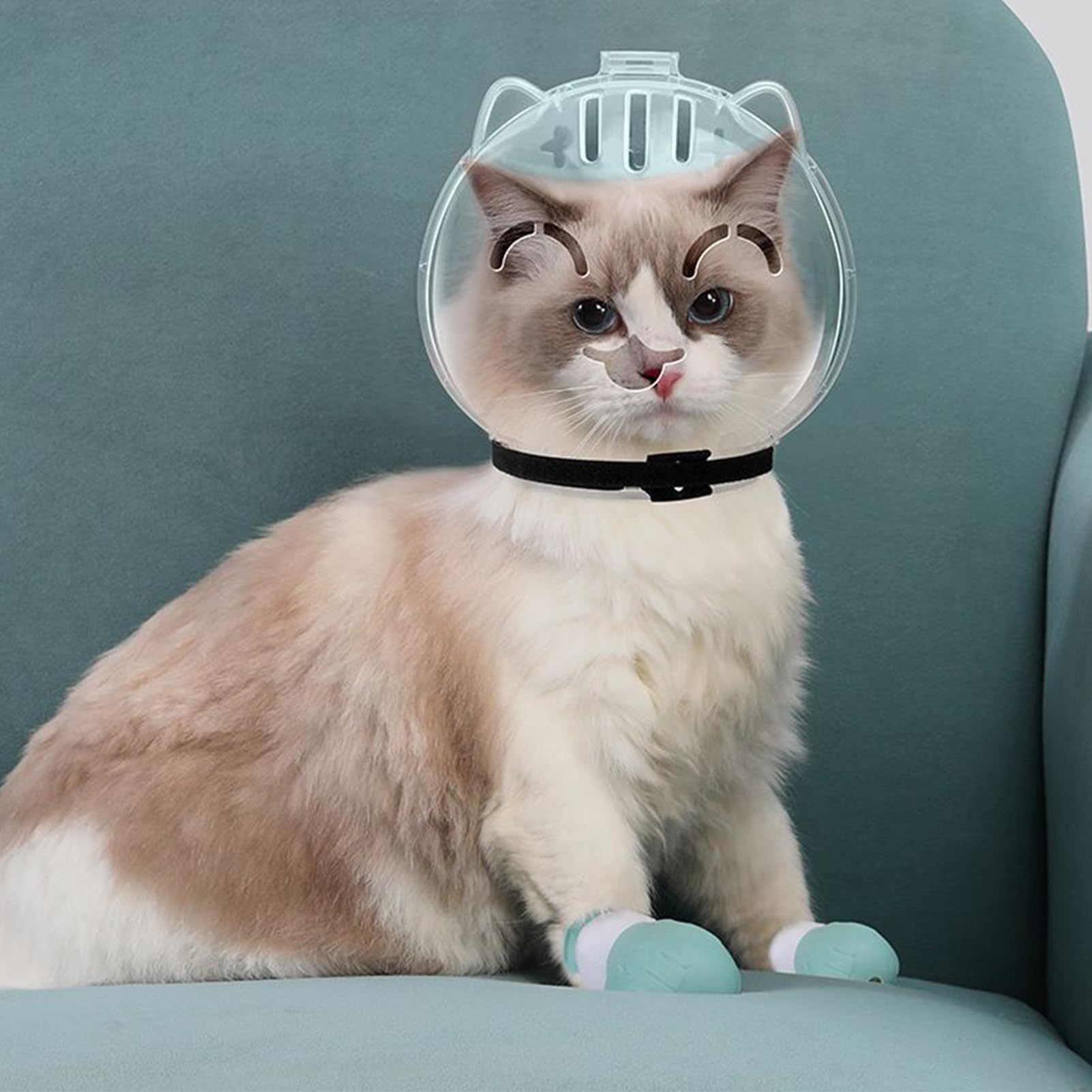 Bozal de Burbujas para Gato, Bola de Cabeza de Gato para Aseo con Botas, Accesorios antiarañazos para Mascotas, para baño, Lavado, Recorte, visitas veterinarias, Viajes