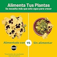 Vista 9 de Miracle-Gro Alimento soluble en agua para plantas multiusos, fertilizante para plantas de interior o exterior, rosas, flores, plantas