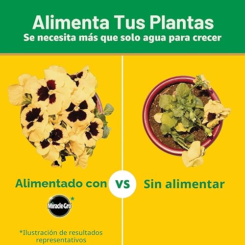 Miniatura 9 de Miracle-Gro Alimento soluble en agua para plantas multiusos, fertilizante para plantas de interior o exterior, rosas, flores, plantas