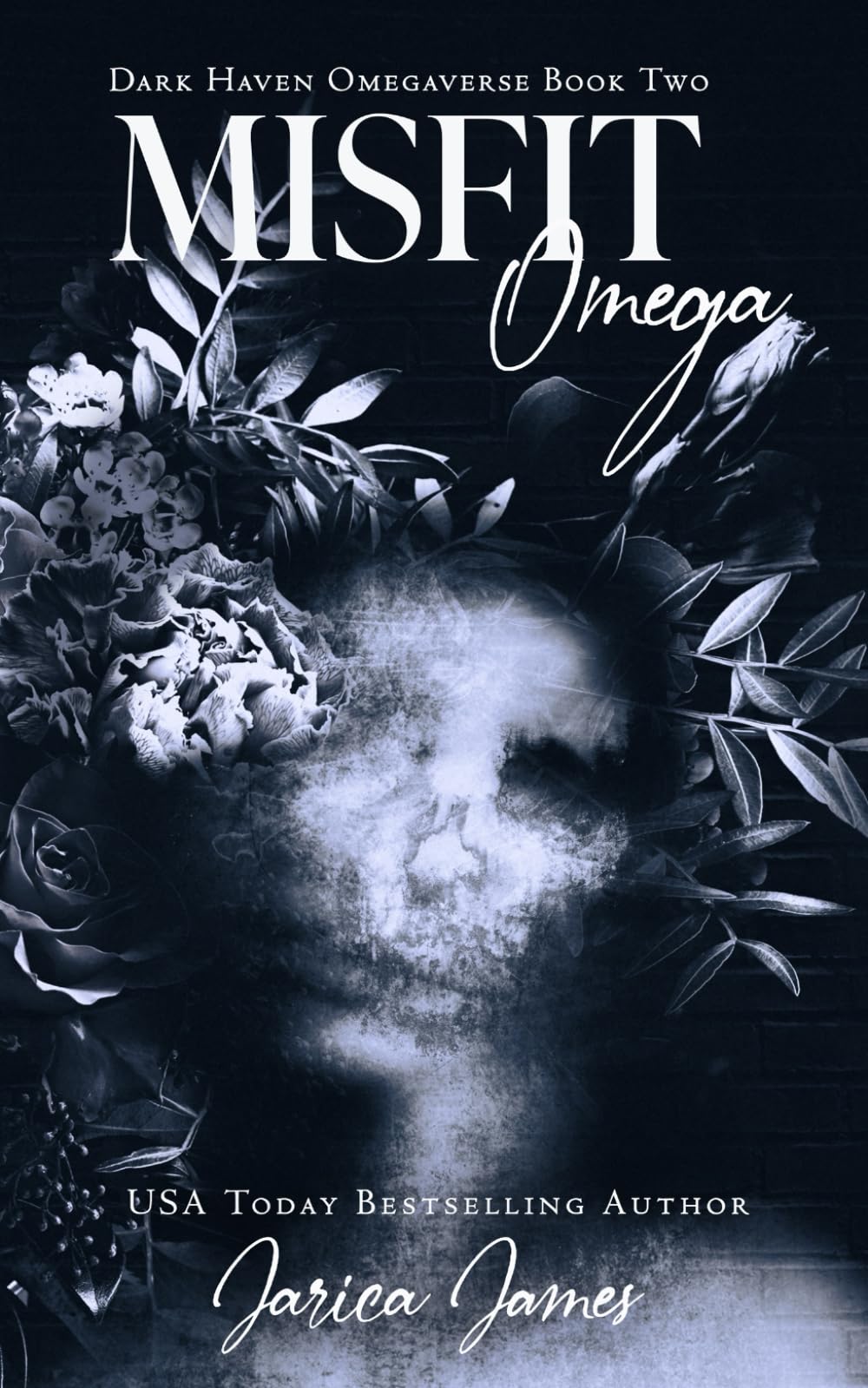 Misfit Omega: 2 (Dark Haven Omegaverse)