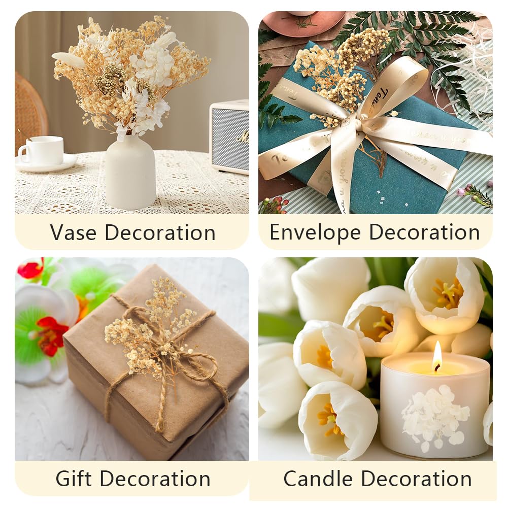 Fiori Secchi Naturali e Pressati per Artigianato, Resina, Scrapbooking, Creazione di Gioielli e Decorazioni Floreali Fai da te