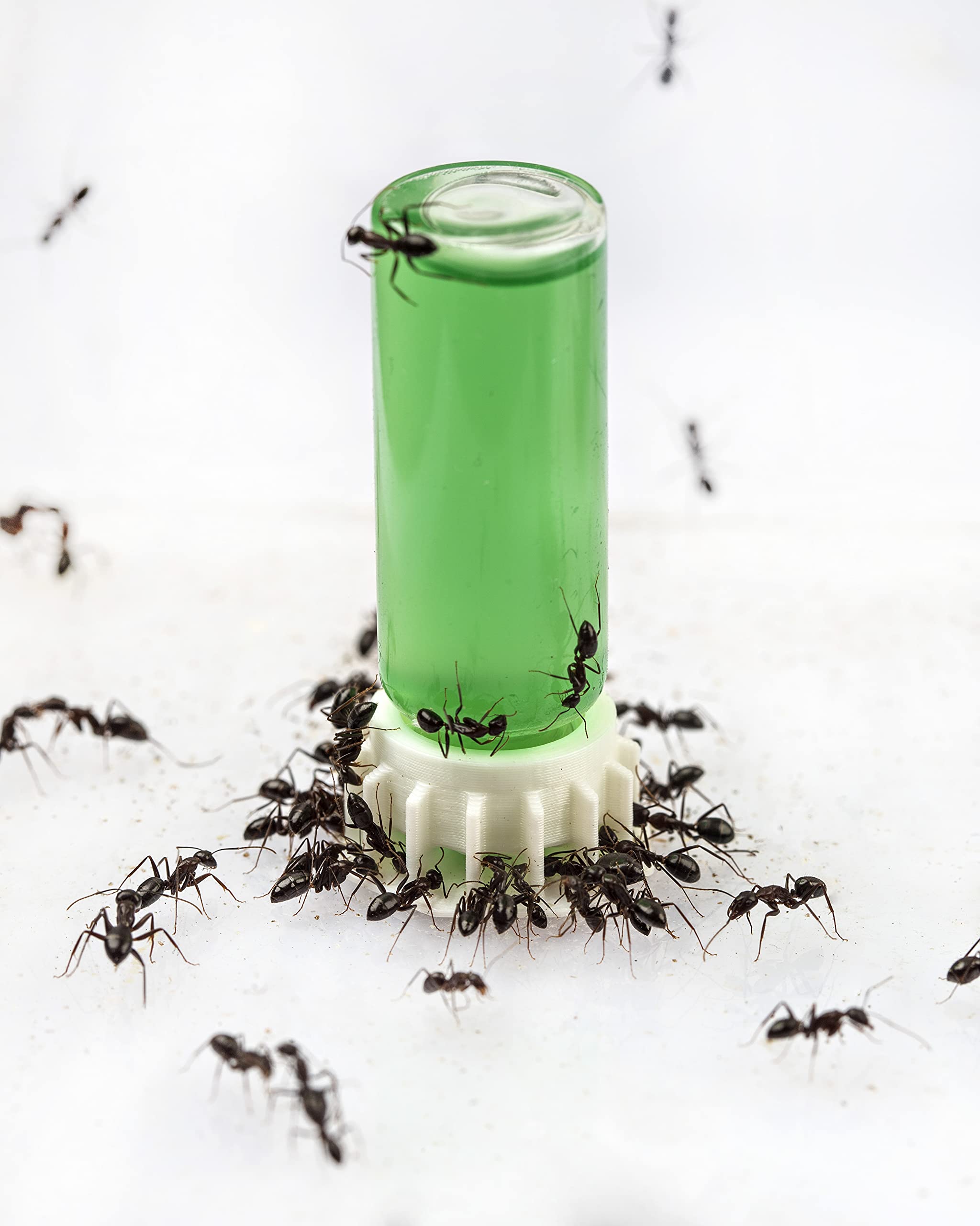 AntHouse | Super Ant Food Nectar Alimentaire Vert 50 ML | A Base de Sucre, complément idéal pour Votre Terrarium ou Votre colonie de Fourmis, Nourriture pour Les Fourmis