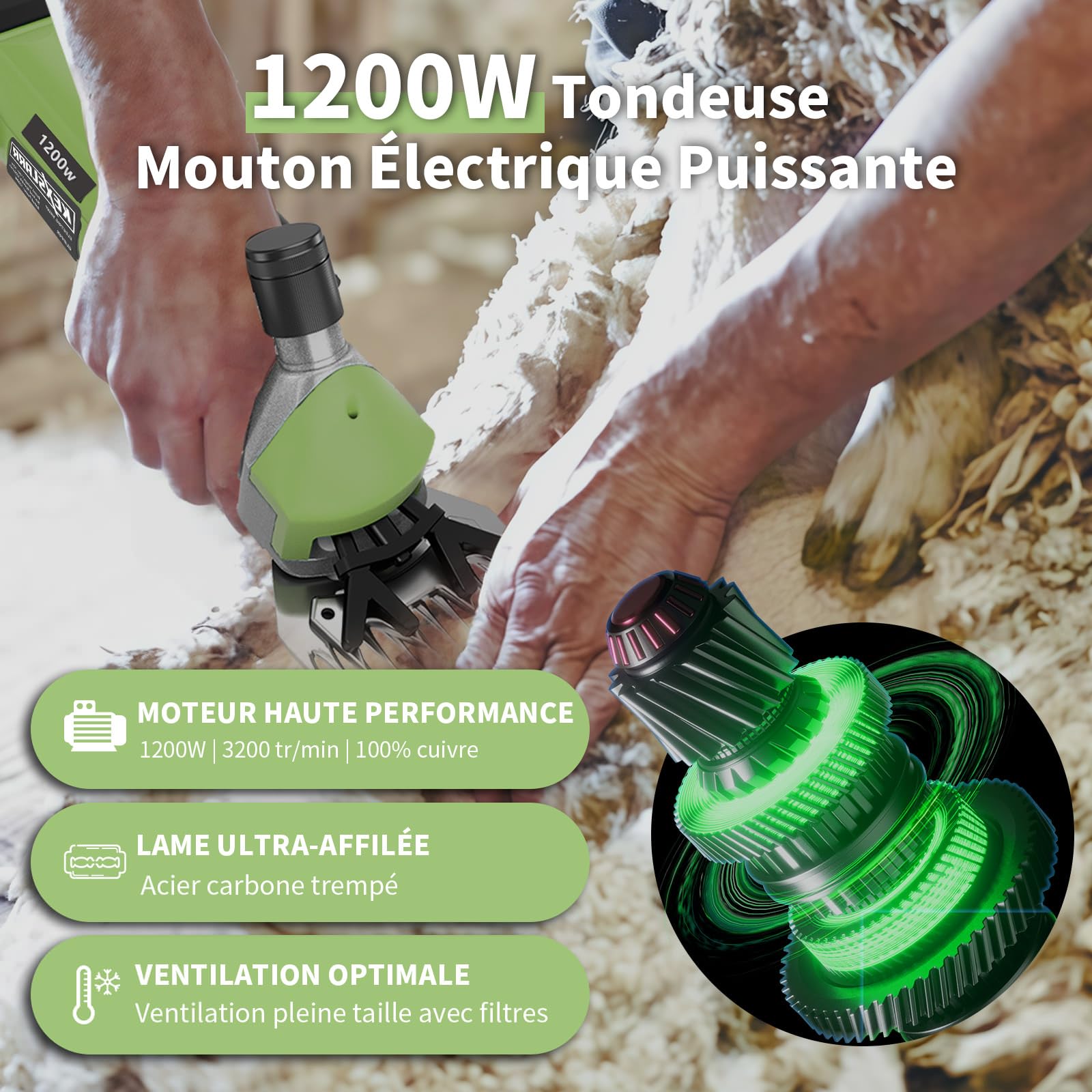 1200W Tondeuse a Mouton Professionnelle, 6 Vitesses Réglables 3200 tr/min, Lame 13 Dents pour Moutons Chèvres Alpagas, avec Manuel Français et Vidéo (Vert)