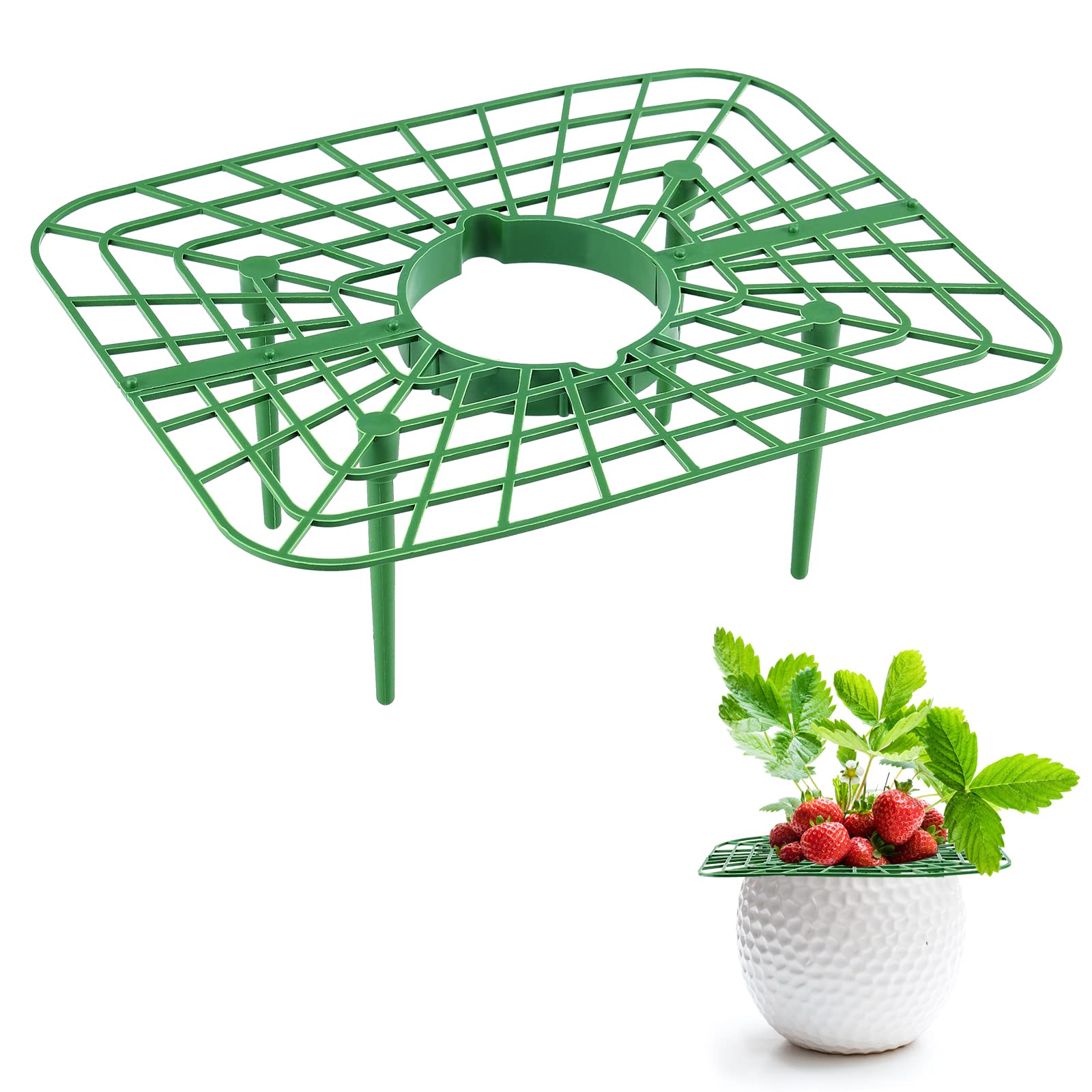 Supporti per fragole KZQ 10 - Supporti per piante di fragole per il
