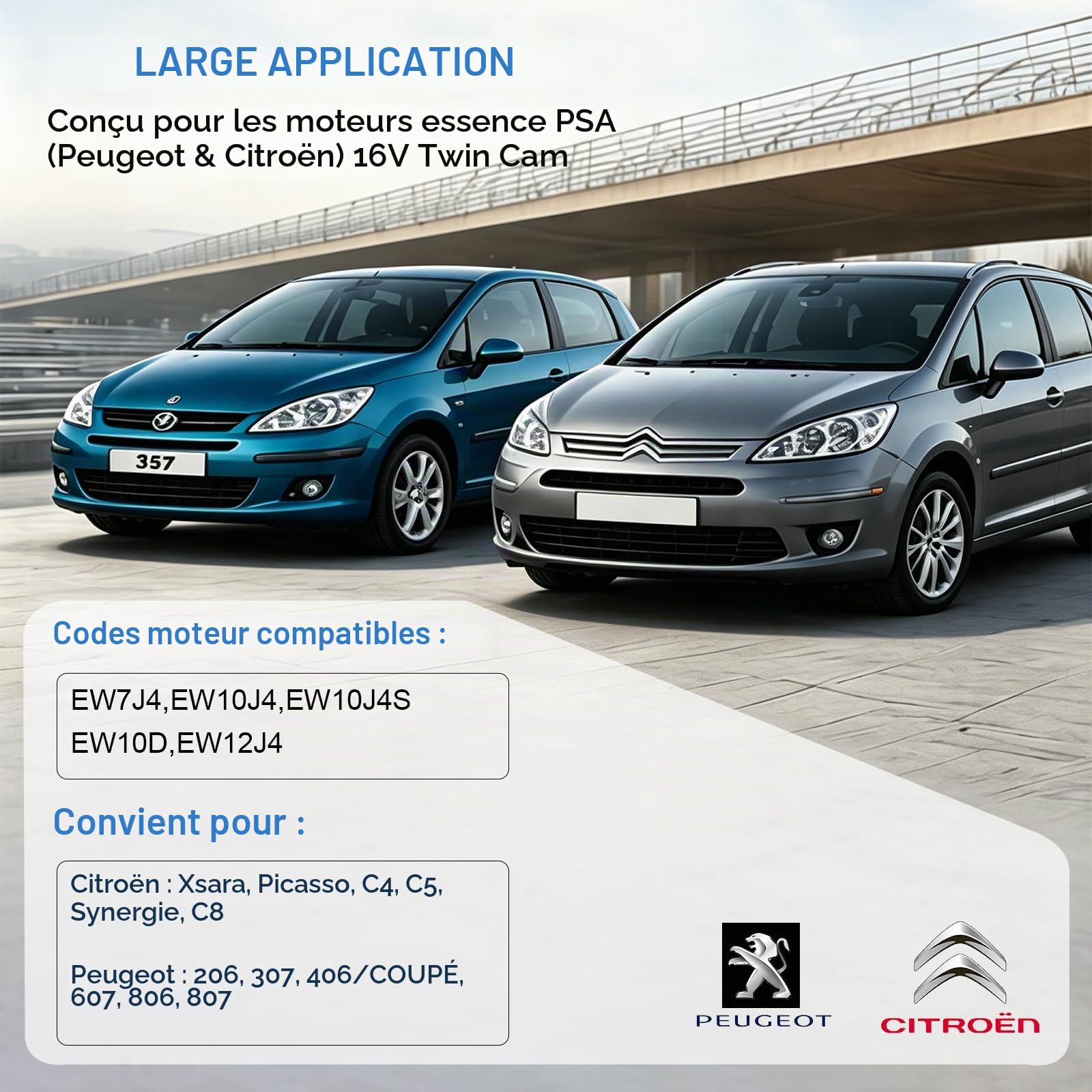 EXLECO 42 Pièces Outil de Calage de Distribution et Réglage d'arbre à Cames pour Moteur Essence Peugeot Citroën EW Série 16V, Outil pour Chaîne et Courroie de Distribution
