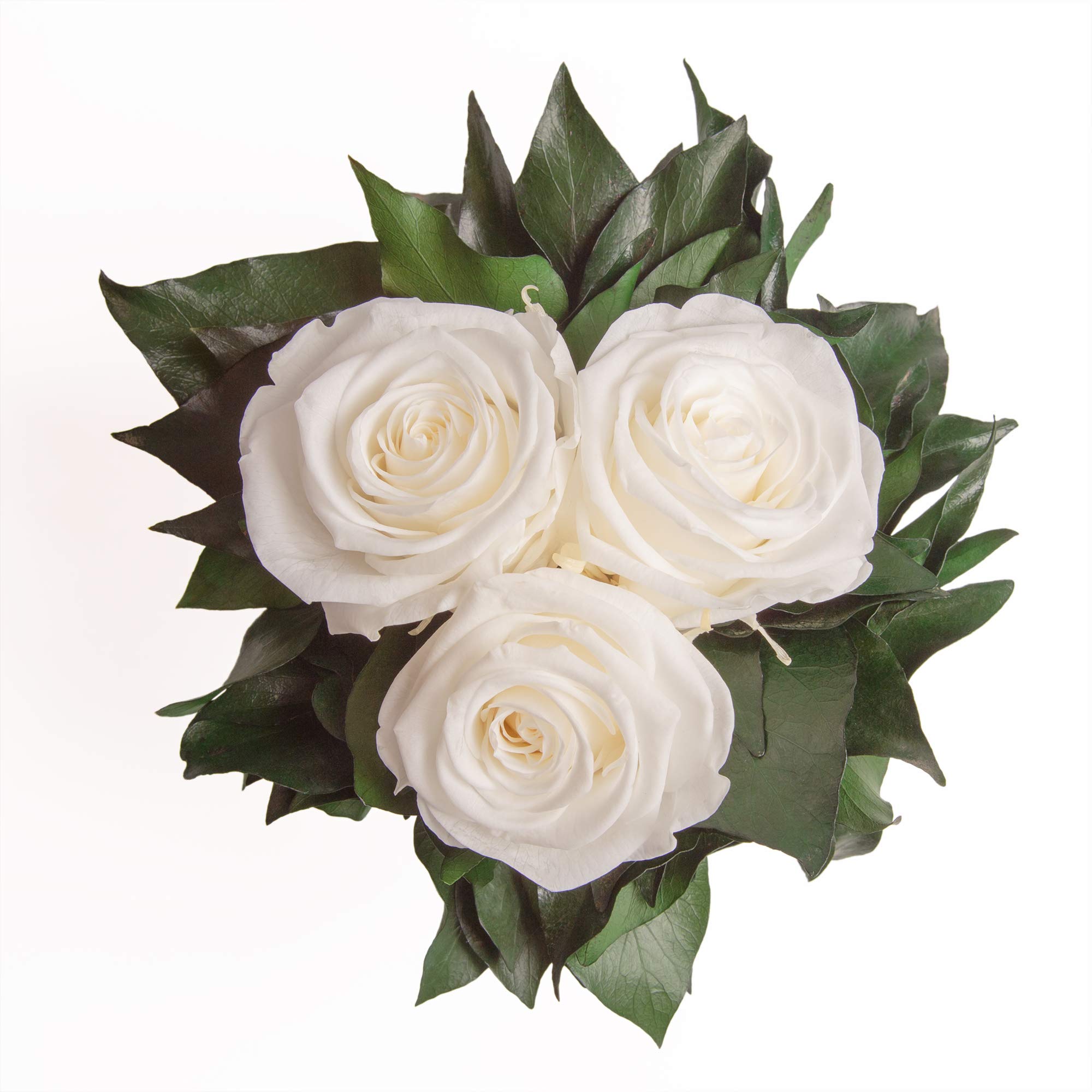 Infinity Blumen in silberfarbenen Becher 3 ewige Rose konserviert weiße Blumendeko Tisch (Weiss, 3 Rosen)