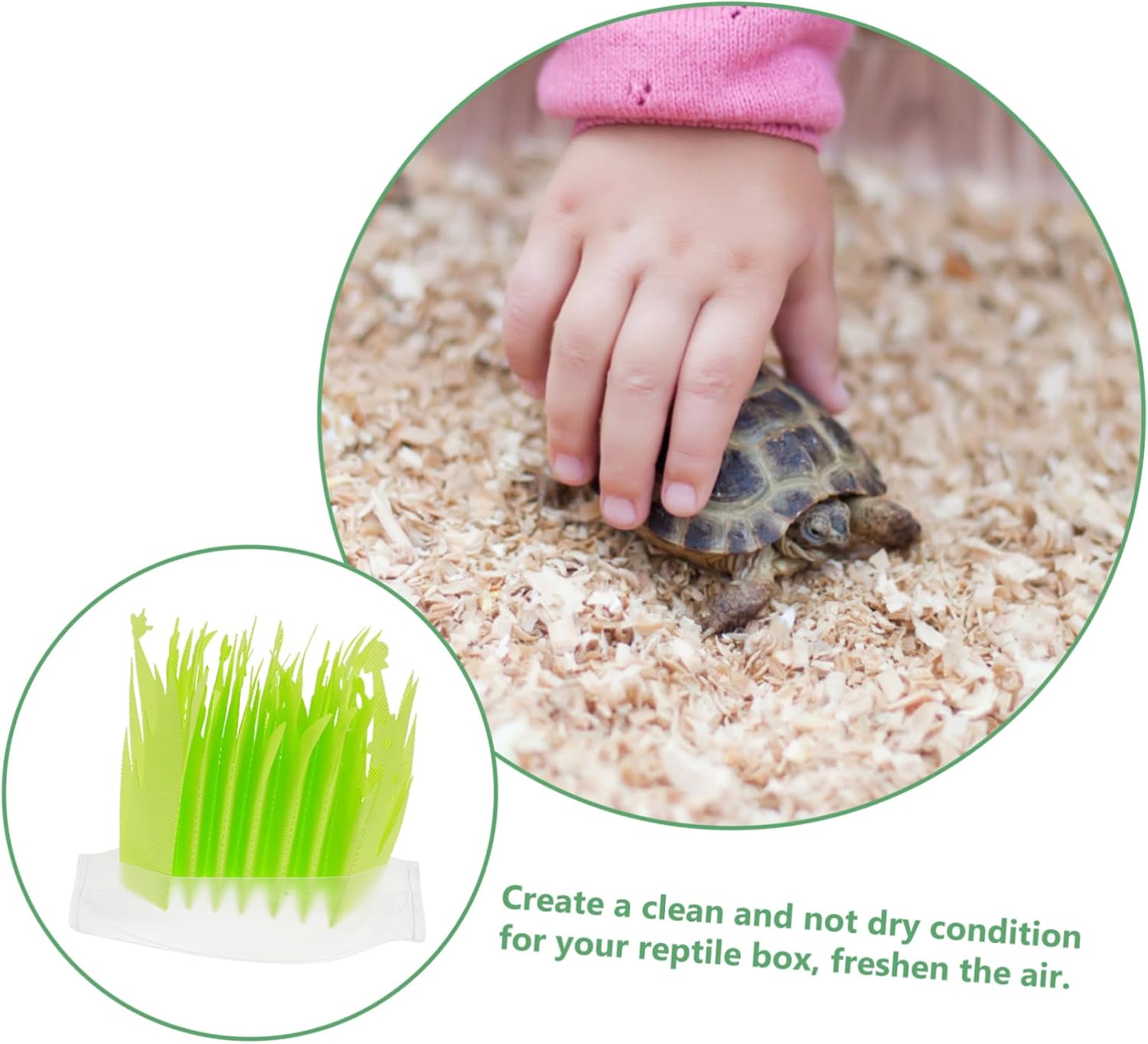 Levemolo 2pcs Humidifier for Reptiles Reptiles Tank Landscaping Humidifier Unplugged for Terrarium