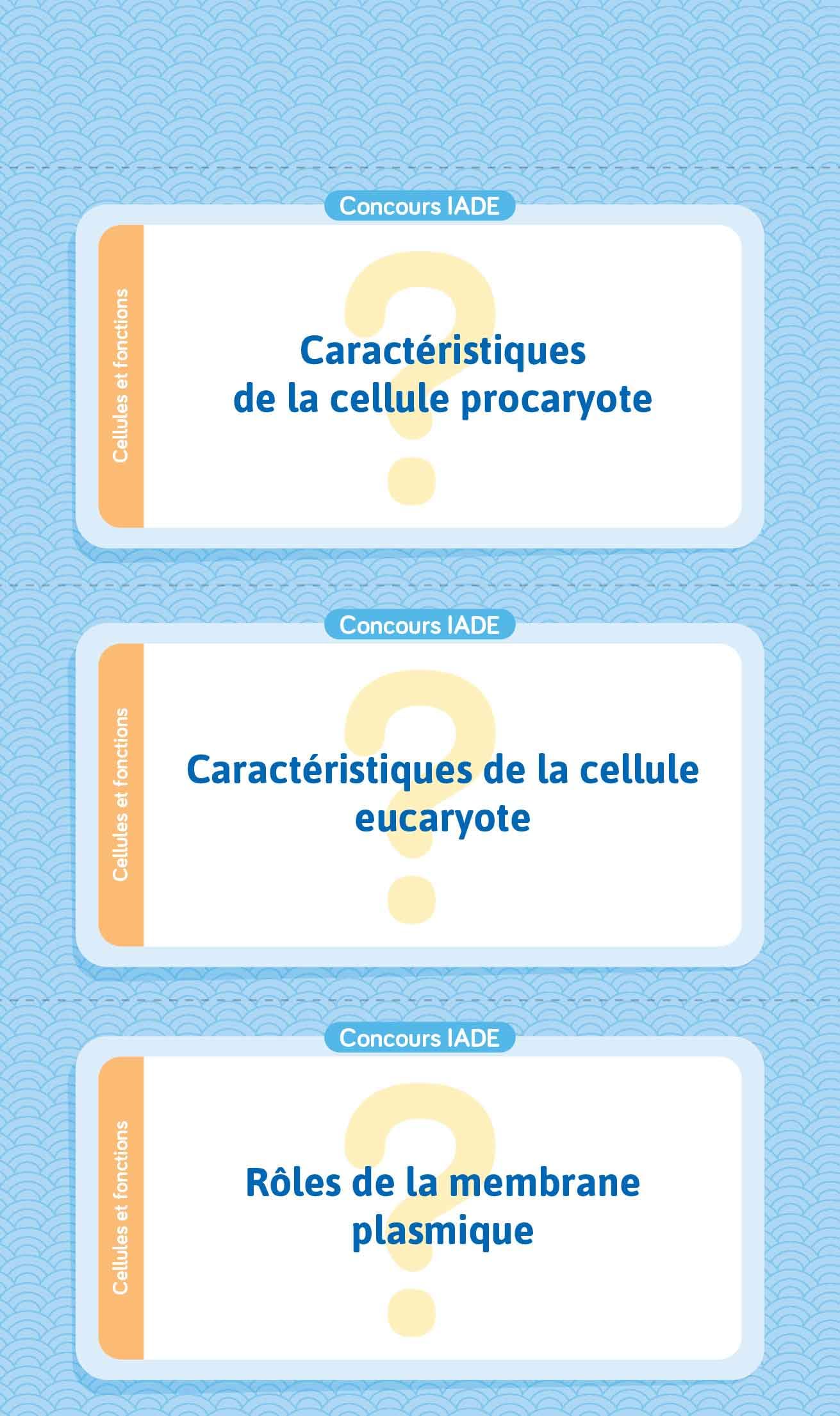 Flashcards concours IADE: Infirmier anesthésiste