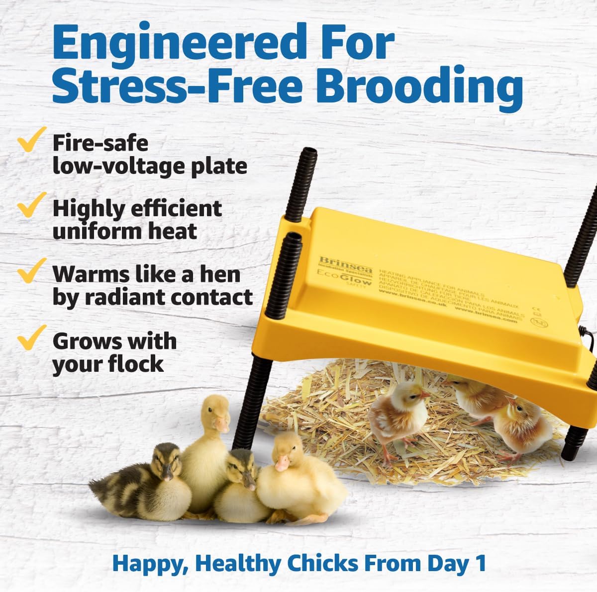 Brinsea Ecoglow Safety 600 Brooder Plate for up to 20 Chicks - Energy Efficient 12 Watt Heat Plate for Ducklings and Poultry - Adjustable Low Voltage Design
