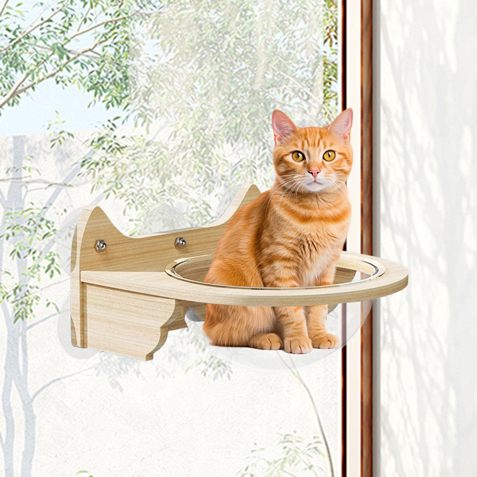 Perchoir de Fenêtre pour Chat Hamac Lit Capsule Spatiale Bois Support Mural Ventouse Structure Suspendue Facile à Enlever Adapté à L'Observation