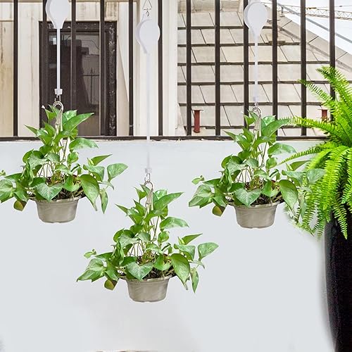 Miniatura 6 de Paquete de 4 poleas retráctiles para plantas, polea de fácil alcance, rueda de altura ajustable para colgar plantas, resistente, colgador de plantas