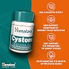 Himalaya Herbals Cystone Herbal Food Supplement Helps Ensure Normal Functioning of Urinary Tract for Urinary Health | Active Herbs Bring Comfort, 100 Capsules