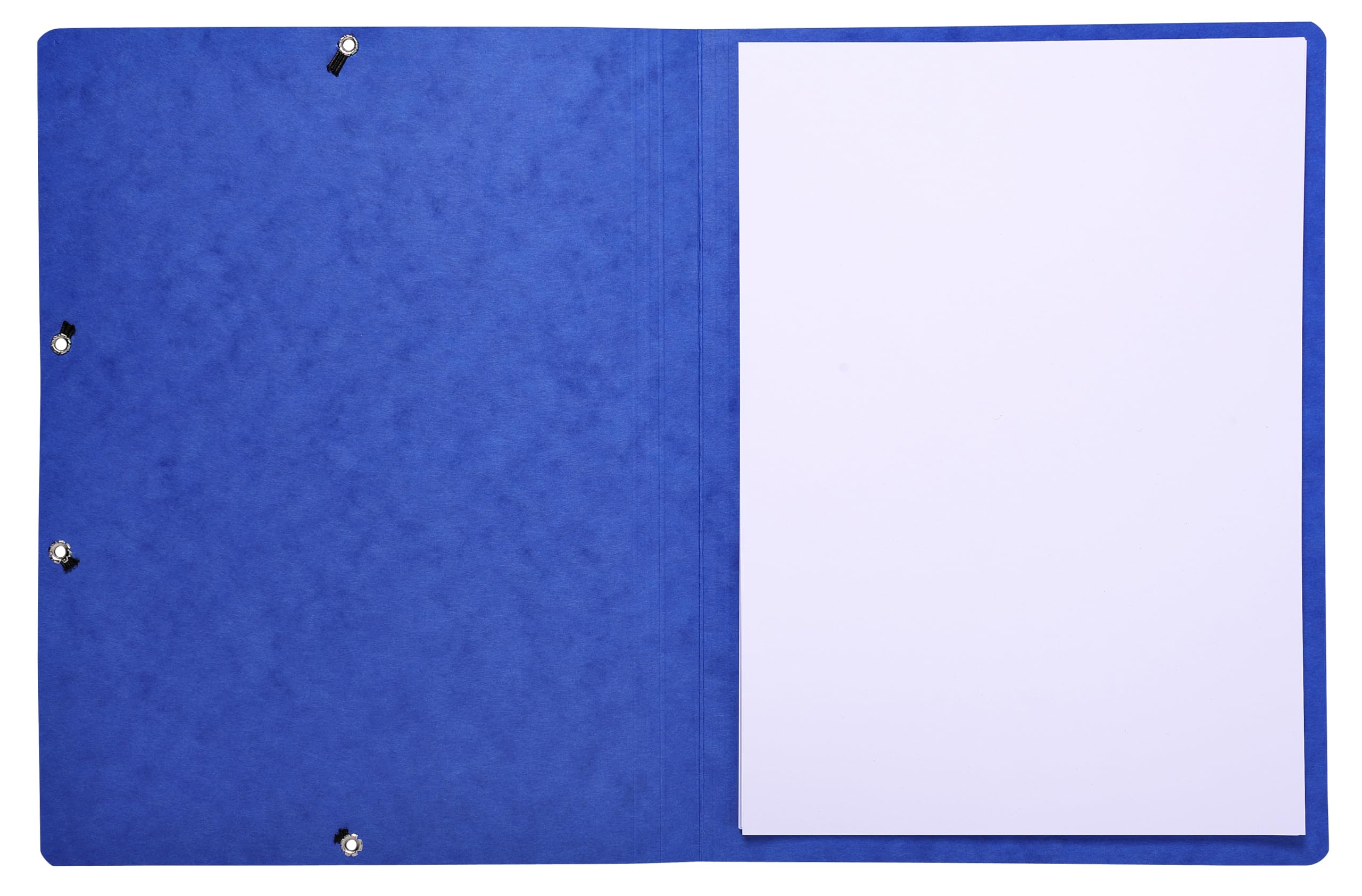 Exacompta 55412E - Pack de 10 carpetas con goma, color azul
