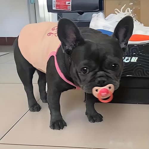Miniatura 7 de Chupete para perro, juego de chupete para mascotas, paquete de 3 juguetes de silicona para dentición para cachorros con cubierta para el polvo